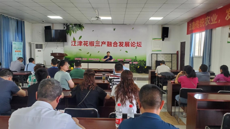 QnXk_1656919763097033980.jpg 3.jpg